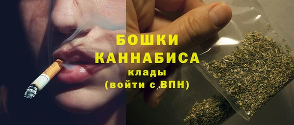 метадон Галич