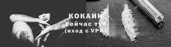 дмт Новодвинск