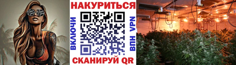 OMG сайт  Никольск  Конопля конопля 